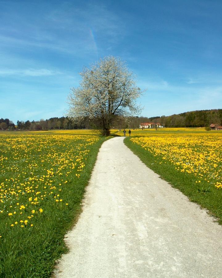 Hotel Kneipp-kurhotel Steinle