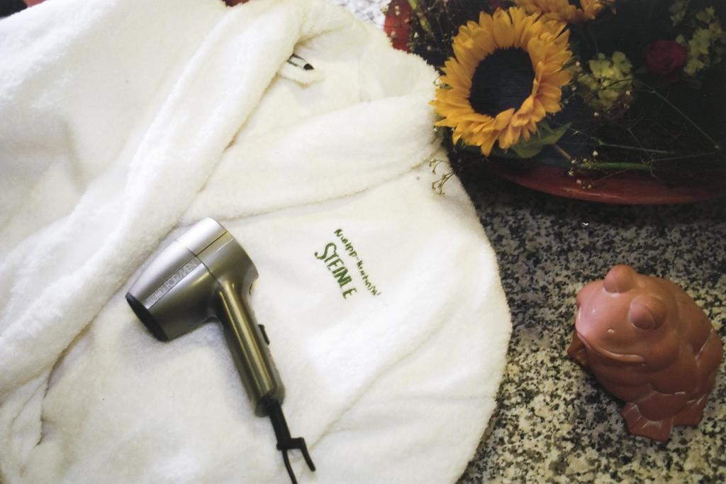 Hotel Kneipp-kurhotel Steinle 3*